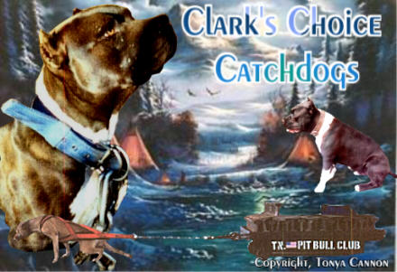 Clark's Choice Catchdogs